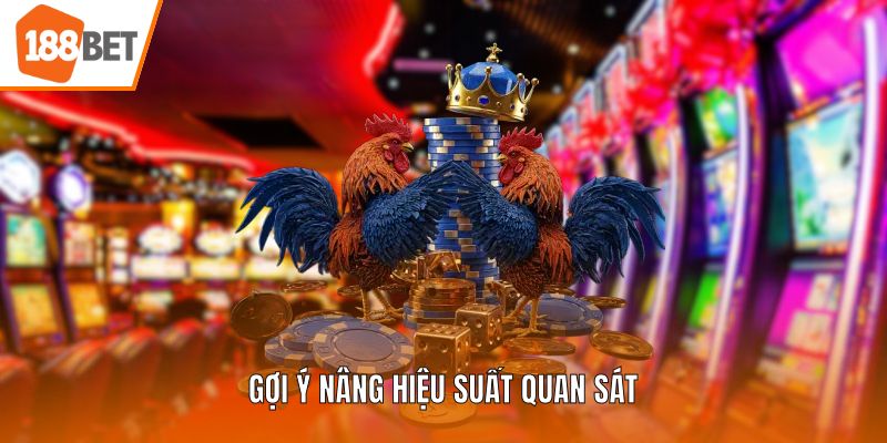 Gợi ý nâng hiệu suất quan sát