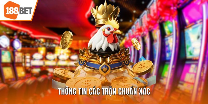  Thông tin các trận chuẩn xác